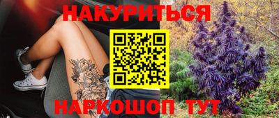 a pvp Усть-Илимск