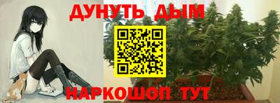 jwh Тулун