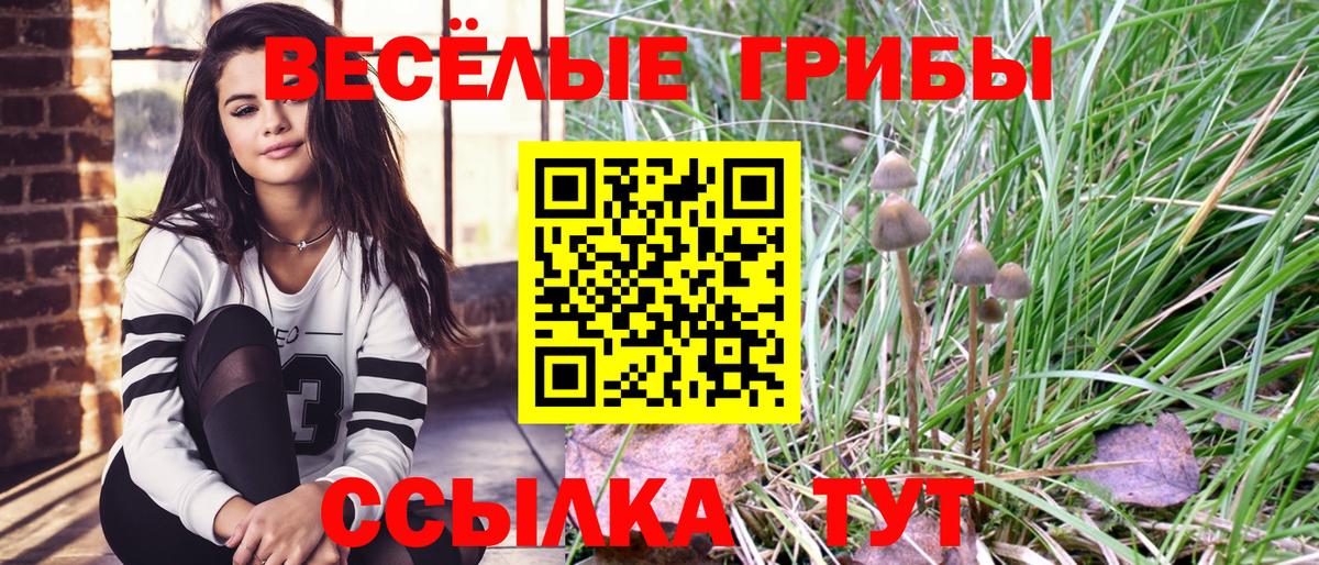 Псилоцибиновые грибы мицелий  Вход с VPN  Архангельск 